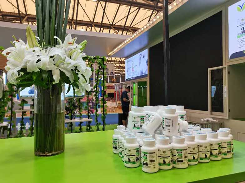 上海展臺設計公司